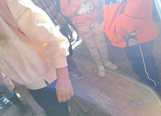 Grafika 55: 24.09.2025 Wycieczka na Farmę Alexa gr III