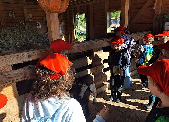 Grafika 56: 24.09.2025 Wycieczka na Farmę Alexa gr III