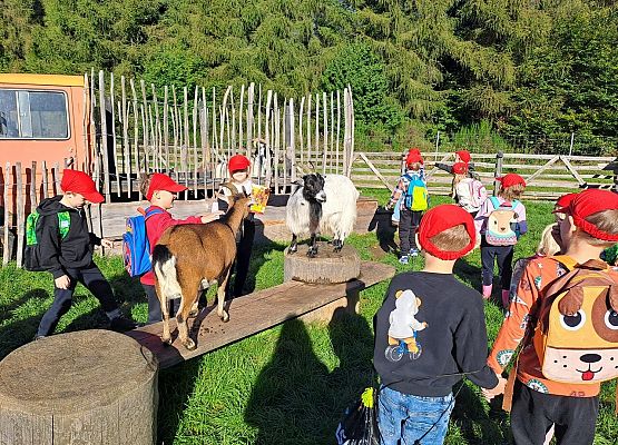 Grafika 61: 24.09.2025 Wycieczka na Farmę Alexa gr III