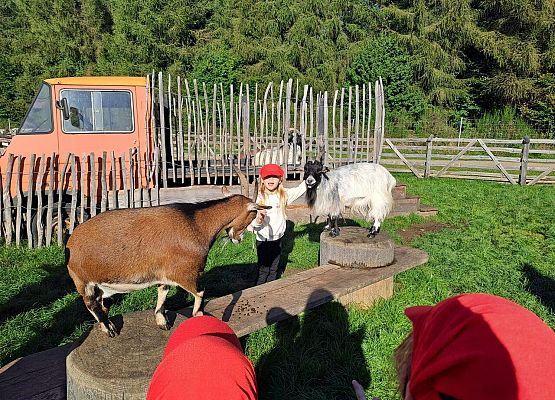 Grafika 73: 24.09.2025 Wycieczka na Farmę Alexa gr III