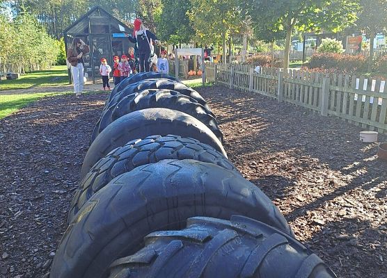 Grafika 71: 24.09.2025 Wycieczka na Farmę Alexa gr III