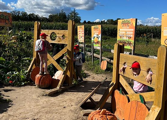 Grafika 81: 24.09.2025 Wycieczka na Farmę Alexa gr III