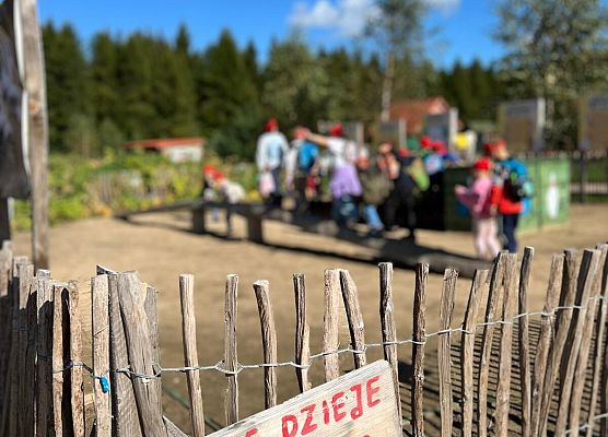 Grafika 83: 24.09.2025 Wycieczka na Farmę Alexa gr III