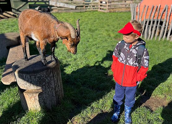 Grafika 119: 24.09.2025 Wycieczka na Farmę Alexa gr III