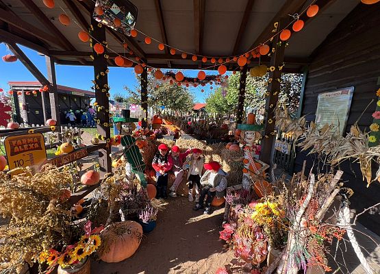 Grafika 134: 24.09.2025 Wycieczka na Farmę Alexa gr III