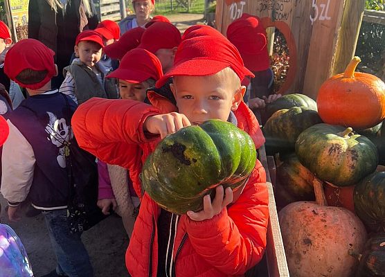 Grafika 143: 24.09.2025 Wycieczka na Farmę Alexa gr III