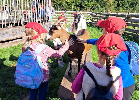 Grafika 145: 24.09.2025 Wycieczka na Farmę Alexa gr III