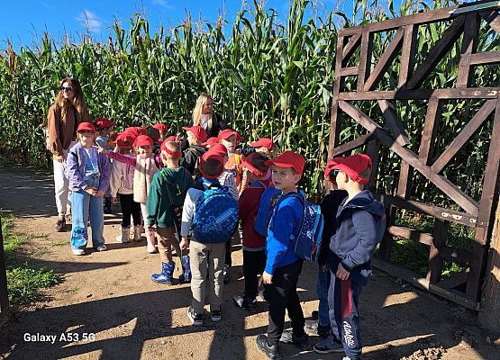 Grafika 161: 24.09.2025 Wycieczka na Farmę Alexa gr III