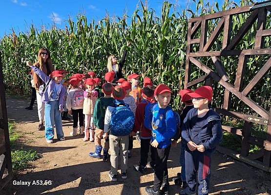 Grafika 167: 24.09.2025 Wycieczka na Farmę Alexa gr III