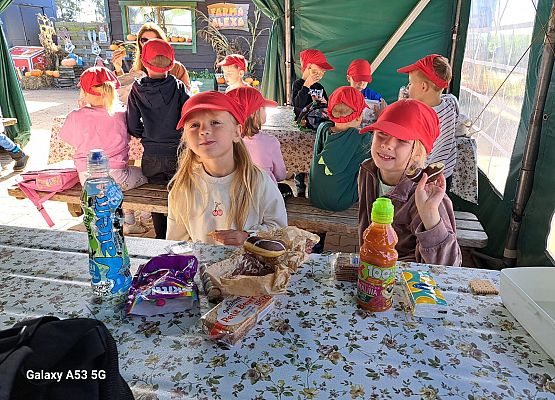 Grafika 176: 24.09.2025 Wycieczka na Farmę Alexa gr III