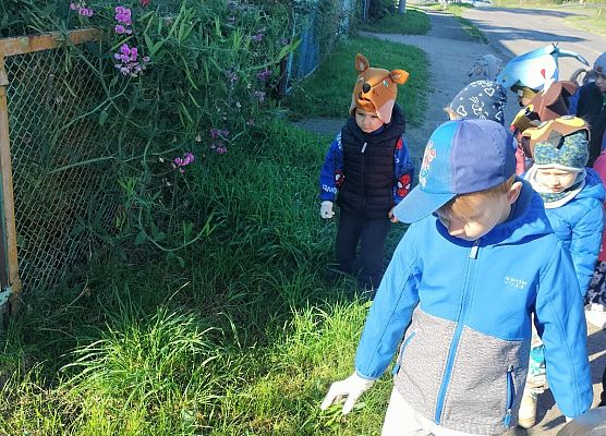 Grafika 22: 26.09.2025 Udział przedszkolaków w akcji „Sprzątanie świata"