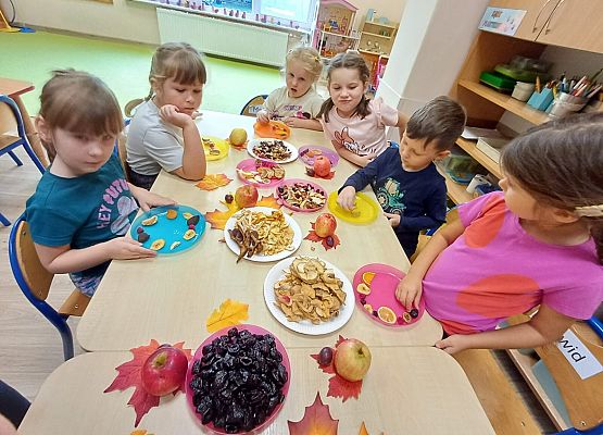 Grafika 16: 08.10.2025 Owocowe herbatki z suszonych owoców gr II