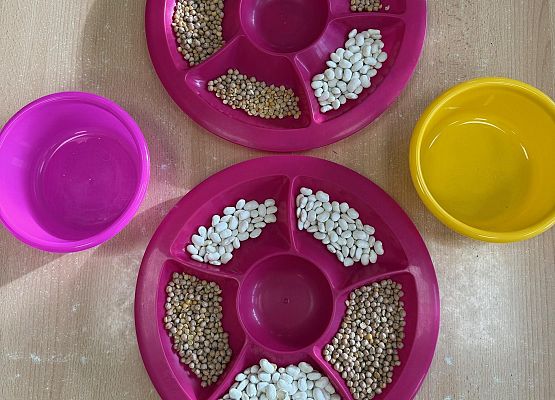 Grafika 48: 05.11.2025 Dzień Postaci z Bajek gr III