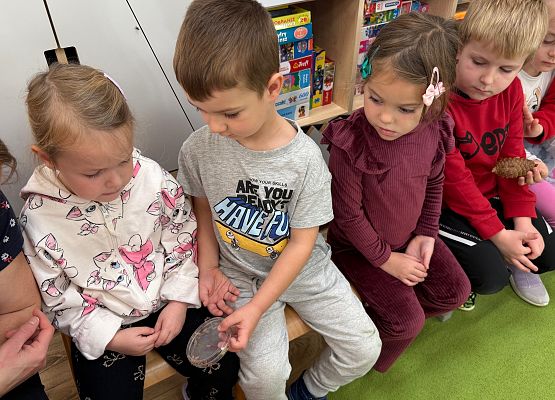 Grafika 43: 06.11.2025 Zajęcia Edukacyjne nt."Przygotowanie zwierząt do zimy"