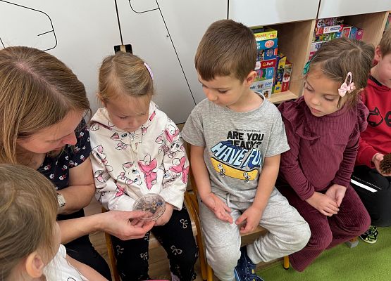 Grafika 44: 06.11.2025 Zajęcia Edukacyjne nt."Przygotowanie zwierząt do zimy"