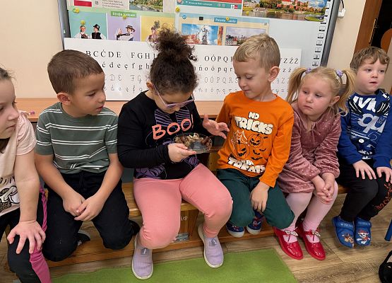 Grafika 48: 06.11.2025 Zajęcia Edukacyjne nt."Przygotowanie zwierząt do zimy"