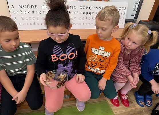 Grafika 49: 06.11.2025 Zajęcia Edukacyjne nt."Przygotowanie zwierząt do zimy"