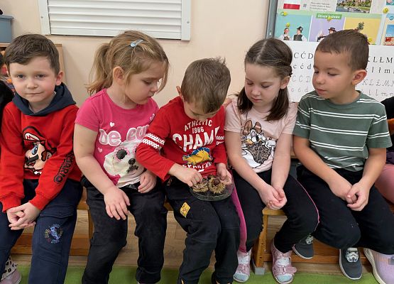 Grafika 50: 06.11.2025 Zajęcia Edukacyjne nt."Przygotowanie zwierząt do zimy"