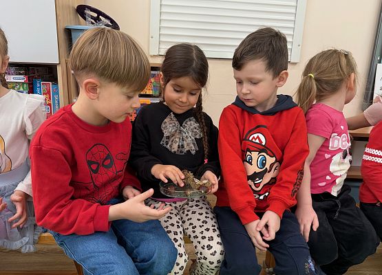 Grafika 51: 06.11.2025 Zajęcia Edukacyjne nt."Przygotowanie zwierząt do zimy"