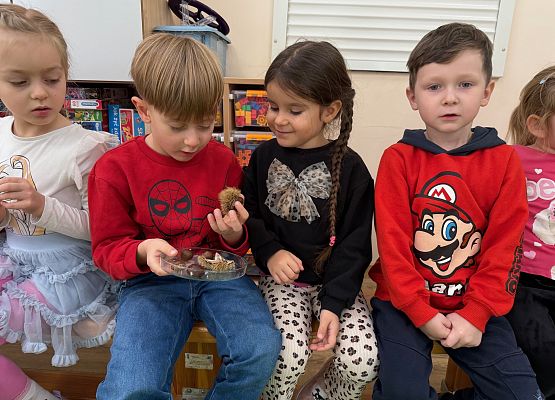 Grafika 52: 06.11.2025 Zajęcia Edukacyjne nt."Przygotowanie zwierząt do zimy"