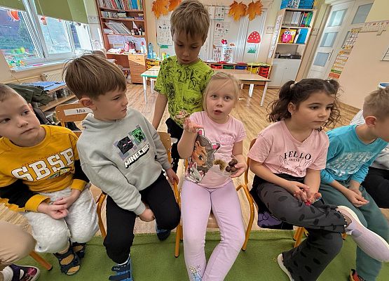 Grafika 54: 06.11.2025 Zajęcia Edukacyjne nt."Przygotowanie zwierząt do zimy"