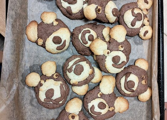 Grafika 20: 25.11.2025  Dzień Pluszowego Misia w naszym przedszkolu