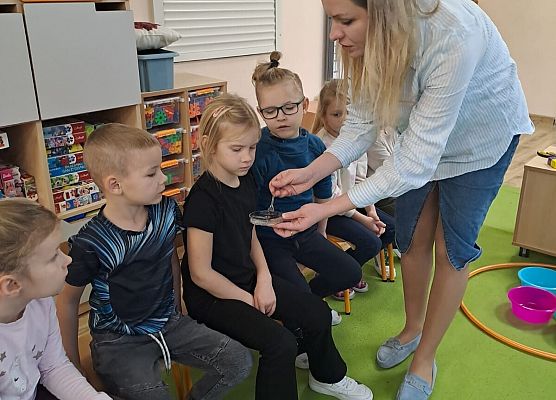 Grafika 4: Mali Wielcy Odkrywcy!