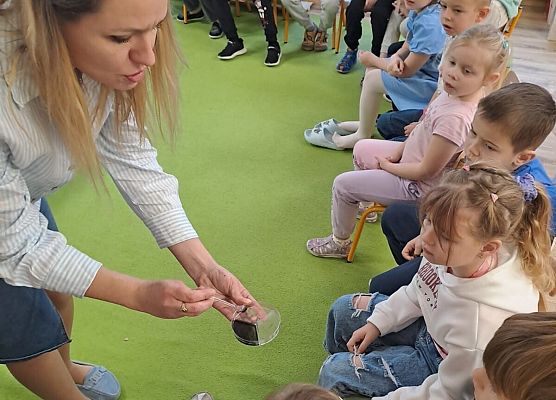 Grafika 6: Mali Wielcy Odkrywcy!