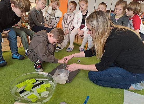 Grafika 6: Mali Wielcy Odkrywcy - Dzień 3