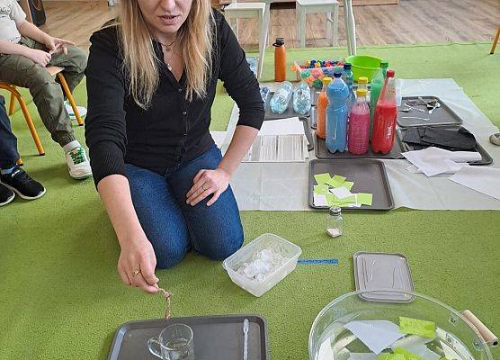 Grafika 8: Mali Wielcy Odkrywcy - Dzień 3