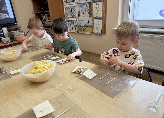 Grafika 14: 19.02.2026   Czekoladowe warsztaty -  Gr I