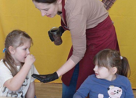 Grafika 8: 19.02.2026 Czekoladowe warsztaty - Gr II