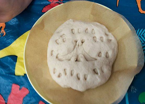 Grafika 33: 26.02.2026 Dzień Dinozaura gr II