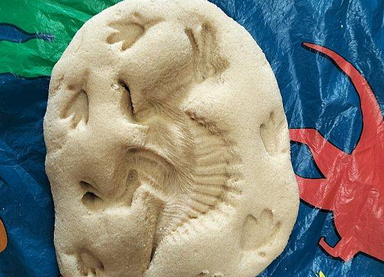 Grafika 44: 26.02.2026 Dzień Dinozaura gr II