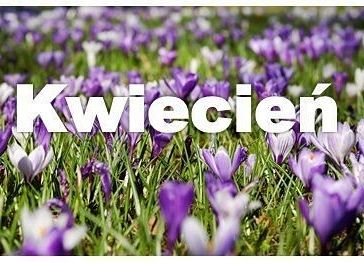 Planowane działania na m-c kwiecień grafika