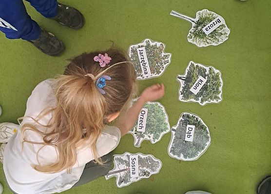 Grafika 10: 09.04.2026 Zajęcia edukacyjne - "Poznajemy las i pracę leśnika"
