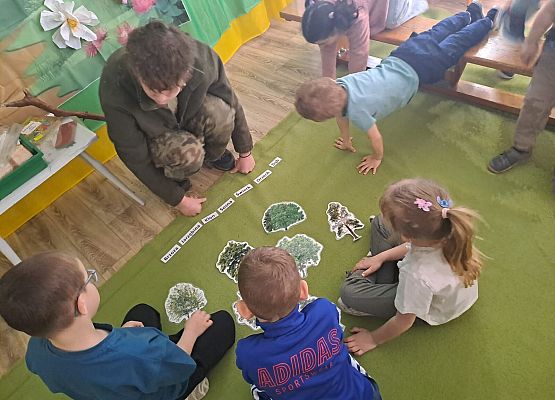 Grafika 15: 09.04.2026 Zajęcia edukacyjne - "Poznajemy las i pracę leśnika"