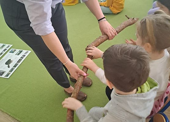 Grafika 20: 09.04.2026 Zajęcia edukacyjne - "Poznajemy las i pracę leśnika"