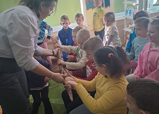 Grafika 25: 09.04.2026 Zajęcia edukacyjne - "Poznajemy las i pracę leśnika"