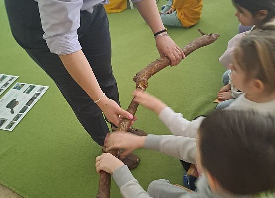 Grafika 32: 09.04.2026 Zajęcia edukacyjne - "Poznajemy las i pracę leśnika"