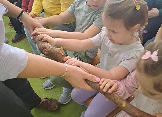 Grafika 33: 09.04.2026 Zajęcia edukacyjne - "Poznajemy las i pracę leśnika"