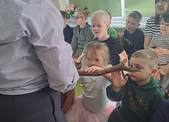 Grafika 34: 09.04.2026 Zajęcia edukacyjne - "Poznajemy las i pracę leśnika"