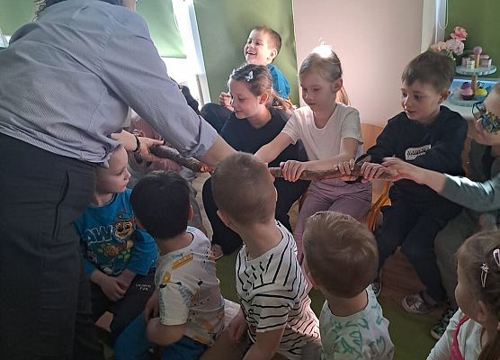 Grafika 37: 09.04.2026 Zajęcia edukacyjne - "Poznajemy las i pracę leśnika"
