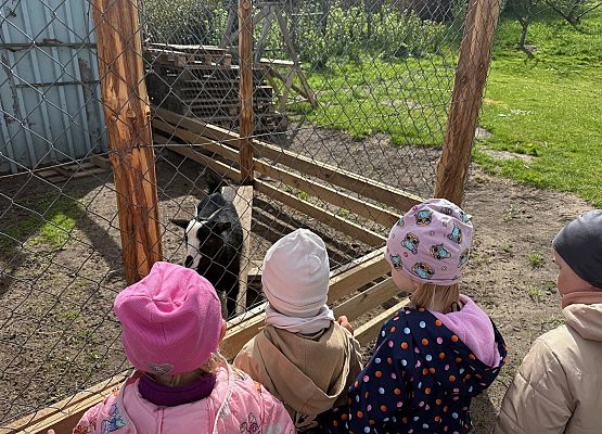 Grafika 1: 08.05.2026 - Mali badacze przyrody - zajęcia edukacyjne w terenie