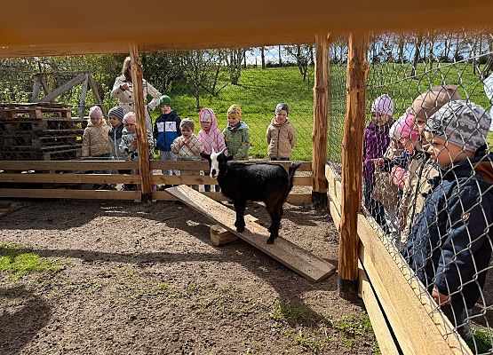 Grafika 7: 08.05.2026 - Mali badacze przyrody - zajęcia edukacyjne w terenie