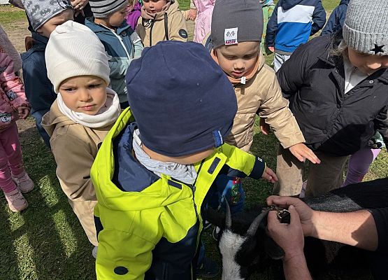 Grafika 11: 08.05.2026 - Mali badacze przyrody - zajęcia edukacyjne w terenie