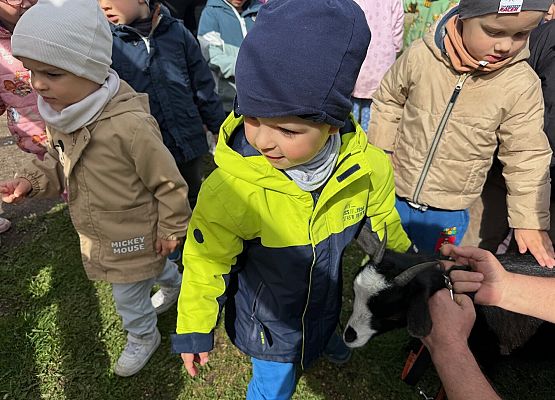 Grafika 12: 08.05.2026 - Mali badacze przyrody - zajęcia edukacyjne w terenie