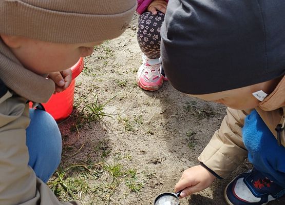 Grafika 16: 08.05.2026 - Mali badacze przyrody - zajęcia edukacyjne w terenie