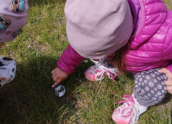 Grafika 22: 08.05.2026 - Mali badacze przyrody - zajęcia edukacyjne w terenie
