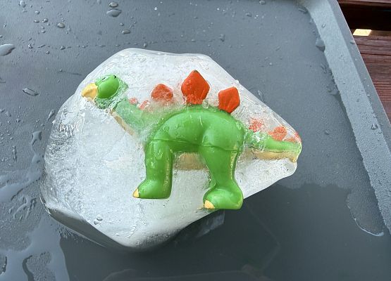 Grafika 17: Dinozaury uwiezione w lodzie!